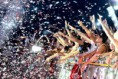 /album/fotogaleria/dreambeach-7-jpg1/